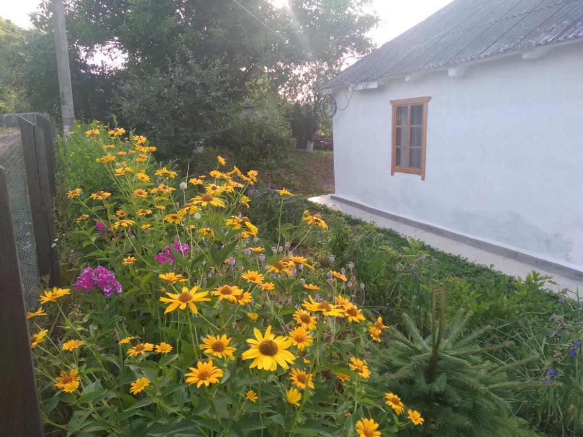 Villa Соколине Гніздо Dmitrenki Esterno foto