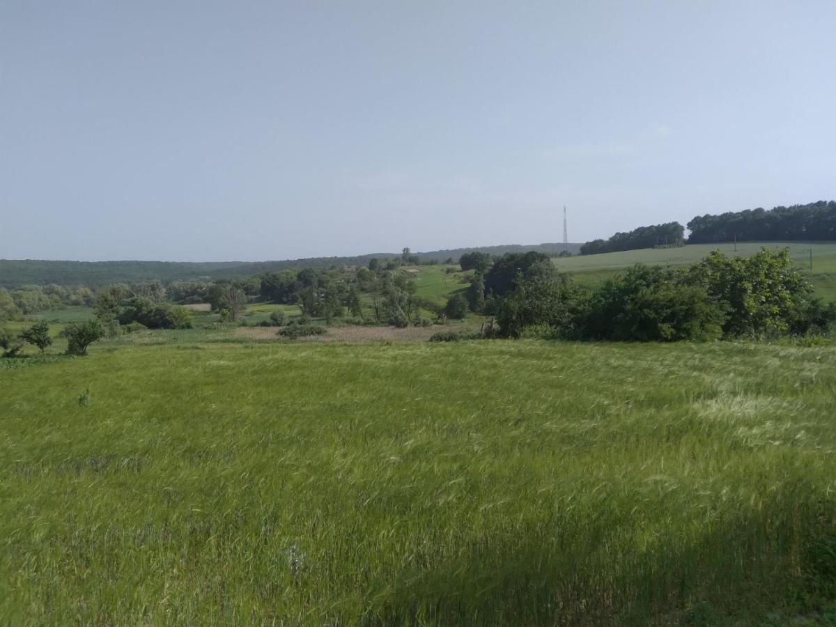 Villa Соколине Гніздо Dmitrenki Esterno foto