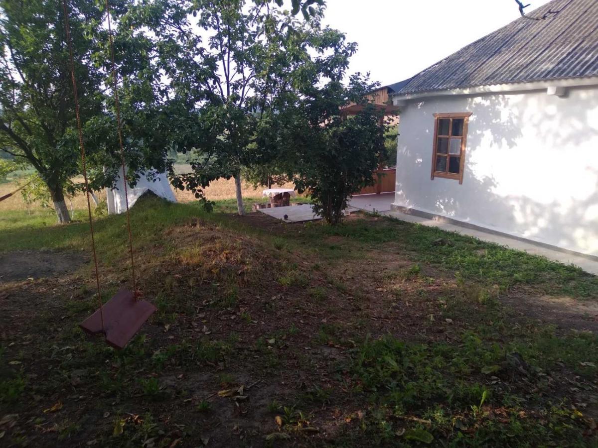 Villa Соколине Гніздо Dmitrenki Esterno foto