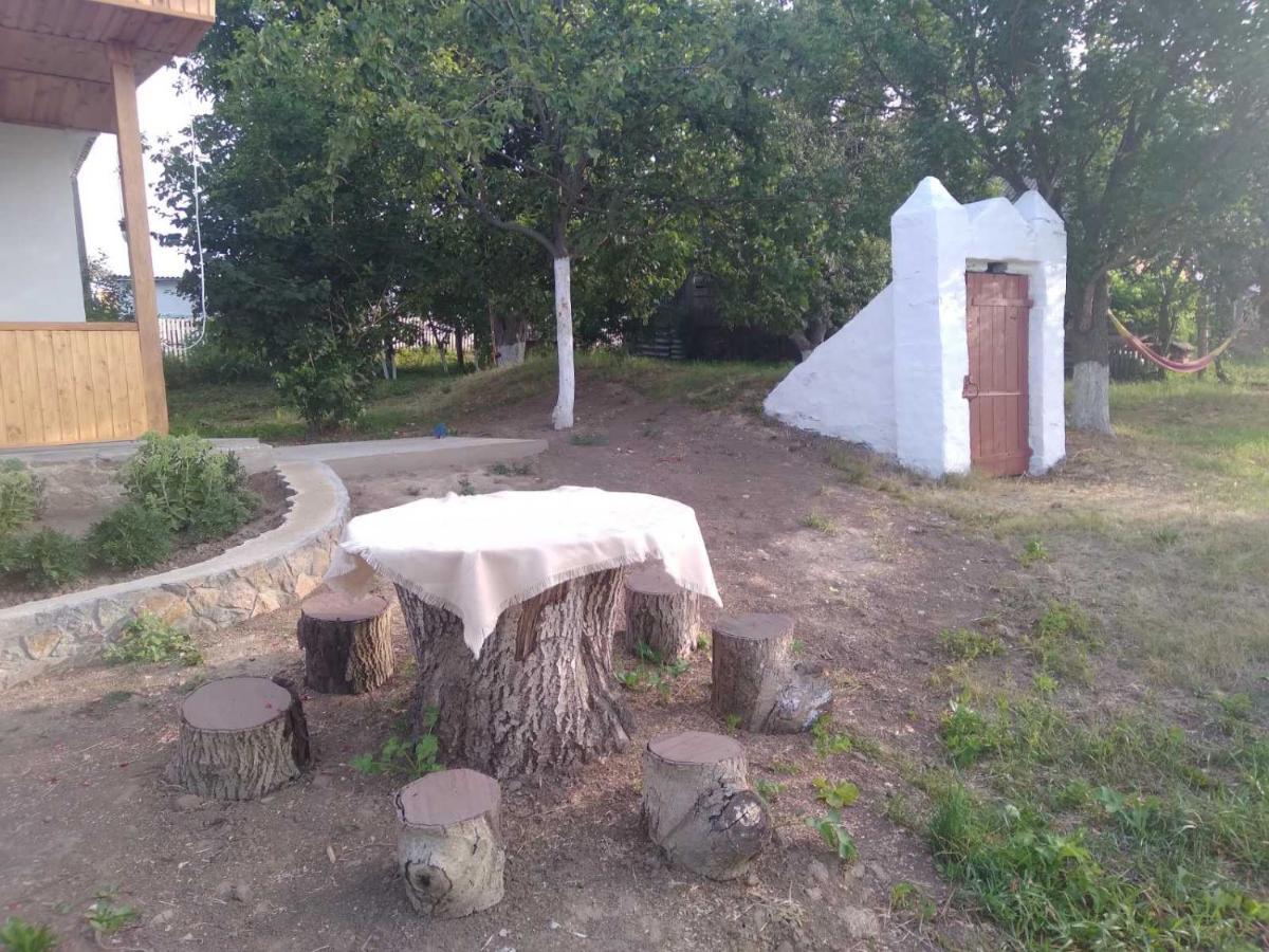 Villa Соколине Гніздо Dmitrenki Esterno foto