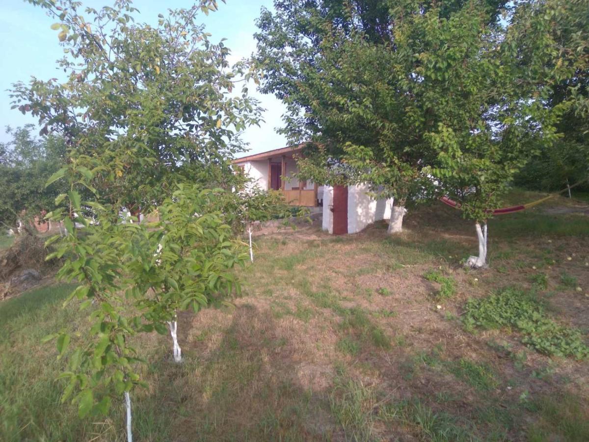 Villa Соколине Гніздо Dmitrenki Esterno foto